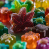 World of THC Edibles