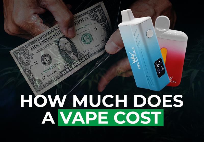 How Much Does a Vape Cost