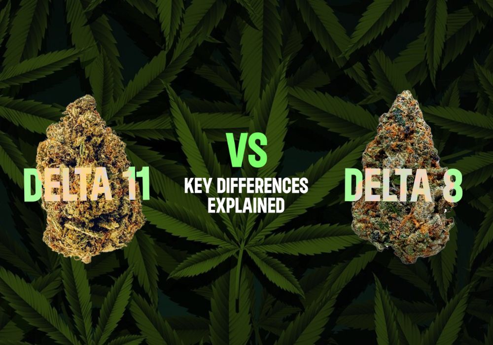 Delta 11 vs. Delta 8 THC: Key Differences and Commonalities