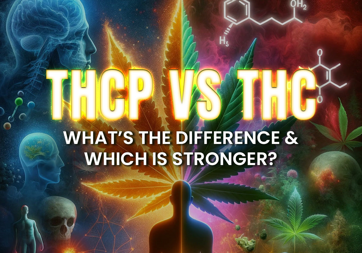 THCP vs THC: What's the Difference and Which Is Stronger?