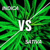 What's the difference between Indica and Sativa?