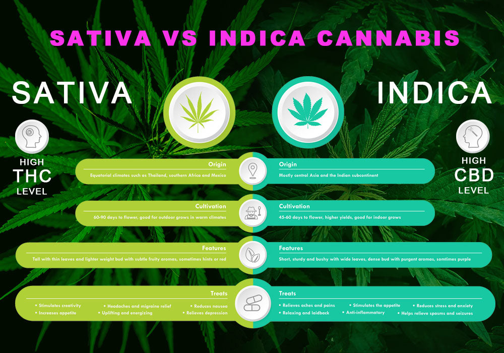 What's the difference between Indica and Sativa?
