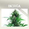 Cannabis Indica Strains